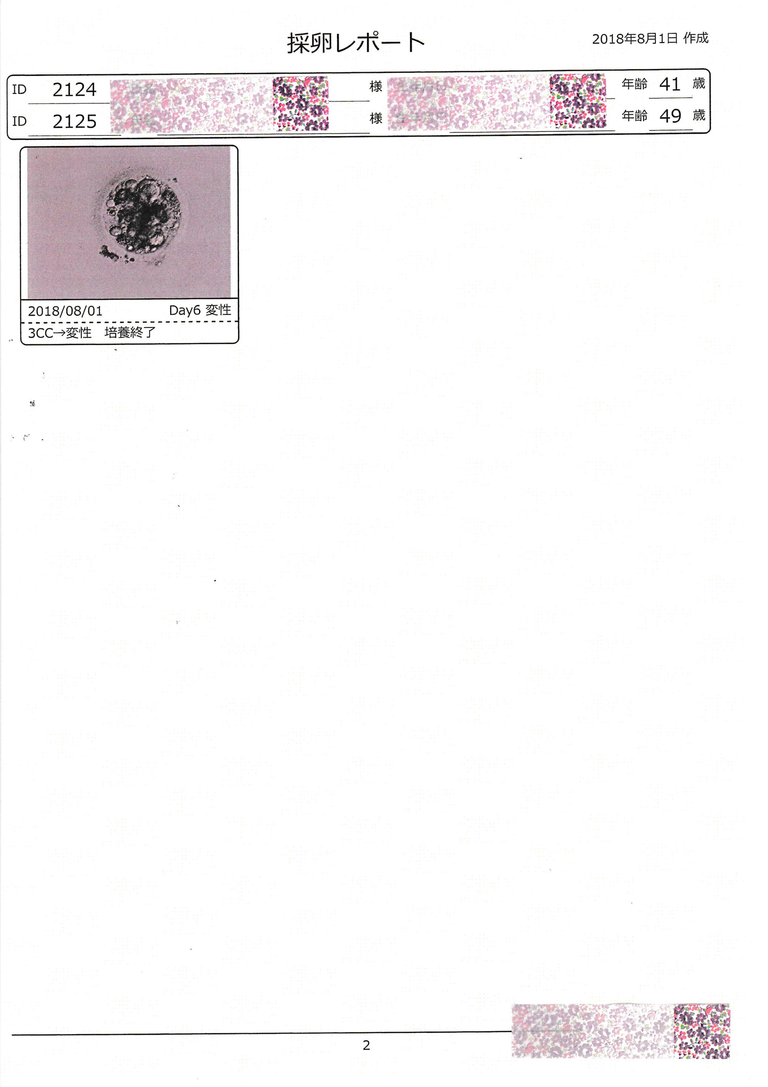 採卵レポート1-2