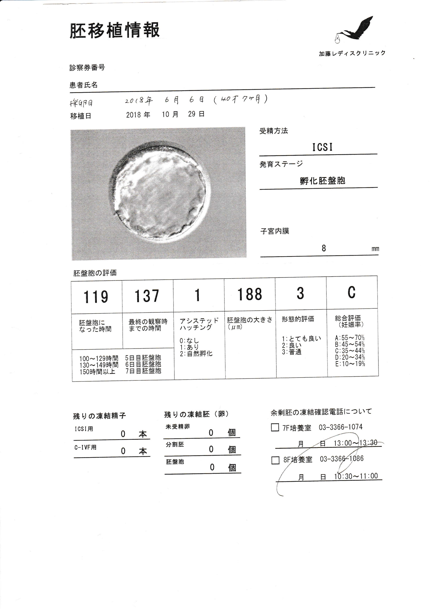 採卵レポート2-1