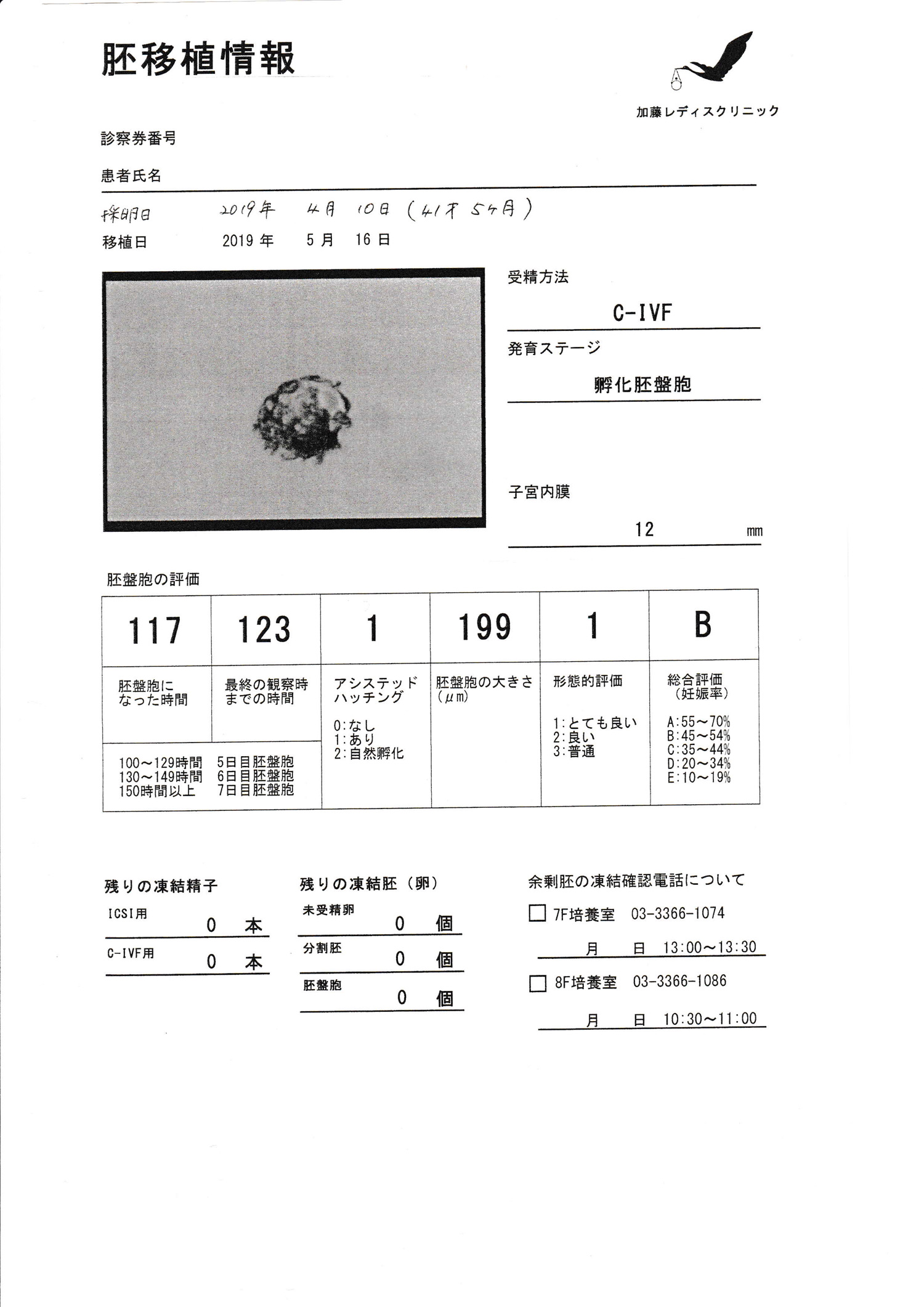採卵レポート2-1